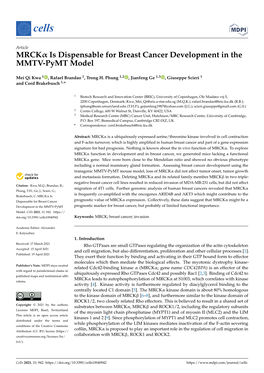 MRCK Is Dispensable for Breast Cancer Development in the MMTV