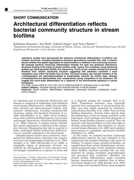 Architectural Differentiation Reflects Bacterial Community Structure in Stream Biofilms