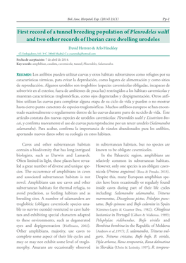 First Record of a Tunnel Breeding Population of Pleurodeles Waltl and Two Other Records of Iberian Cave Dwelling Urodeles David Herrero & Arlo Hinckley Cl