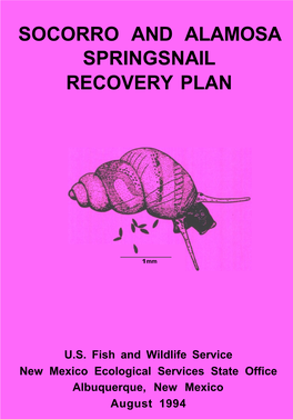 Socorro and Alamosa Springsnail Recovery Plan