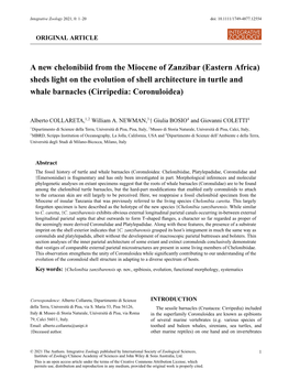 Eastern Africa) Sheds Light on the Evolution of Shell Architecture in Turtle and Whale Barnacles (Cirripedia: Coronuloidea)