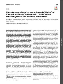 Liver Glutamate Dehydrogenase Controls Whole-Body Energy Partitioning Through Amino Acid–Derived Gluconeogenesis and Ammonia Homeostasis