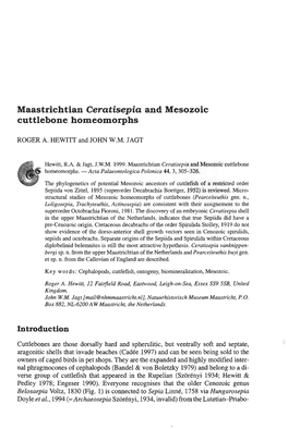 Maastrichtian Ceratisepia and Mesozoic Cuttlebone Homeomorphs