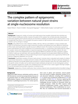 The Complex Pattern of Epigenomic Variation Between Natural Yeast