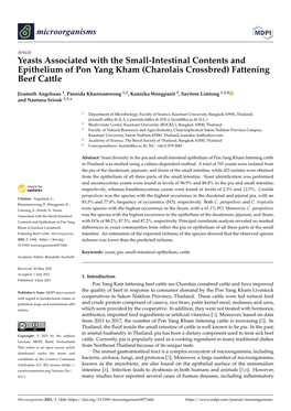 Yeasts Associated with the Small-Intestinal Contents and Epithelium of Pon Yang Kham (Charolais Crossbred) Fattening Beef Cattle