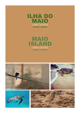 Brochura Flora | Fauna Ilha Do Maio Cabo Verde
