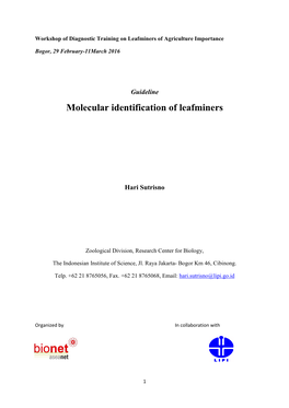 Molecular Identification of Leafminers