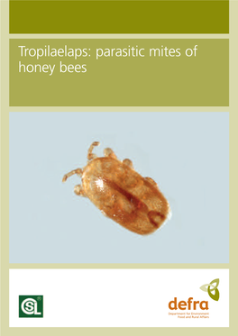 Tropilaelaps: Parasitic Mites of Honey Bees About This Leaflet This Leaflet Describes the Asian Bee Mites Tropilaelaps Spp., (T