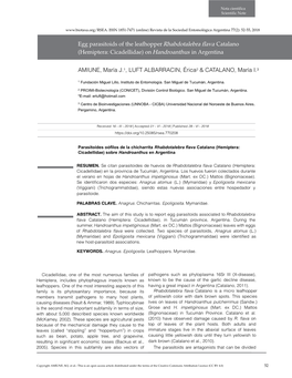 Egg Parasitoids of the Leafhopper Rhabdotalebra Flava Catalano (Hemiptera: Cicadellidae) on Handroanthus in Argentina