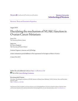 Elucidating the Mechanism of NUAK1 Function in Ovarian Cancer Metastasis Jamie Fritz the University of Western Ontario