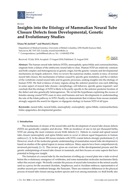 Insights Into the Etiology of Mammalian Neural Tube Closure Defects from Developmental, Genetic and Evolutionary Studies