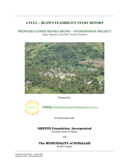 A Full – Blown Feasibility Study Report