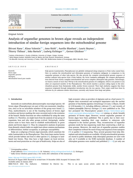 Analysis of Organellar Genomes in Brown Algae Reveals an Independent Introduction of Similar Foreign Sequences Into the Mitochondrial Genome