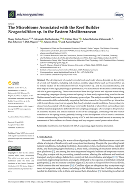 The Microbiome Associated with the Reef Builder Neogoniolithon Sp. in the Eastern Mediterranean