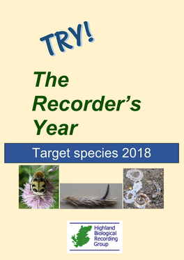 The Recorder's Year