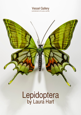 Lepidoptera by Laura Hart Lepidoptera by Laura Hart