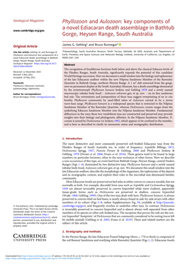 Phyllozoon and Aulozoon: Key Components of a Novel Ediacaran