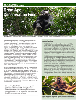 Great Ape Conservation Fund