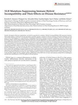 NLR Mutations Suppressing Immune Hybrid Incompatibility and Their Effects on Disease Resistance1[OPEN]