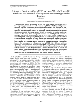 Puc19 by Using Ndei, Aatii, and Afei Restriction Endonucleases with Separate Blunt and Staggered-End Ligations IRENE NG Department of Microbiology & Immunology, UBC