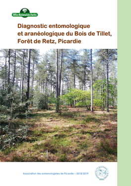 BOIS-De-TILLET-Rapport-Final-ADEP