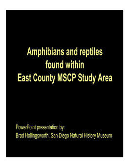 Amphibians and Reptiles Found Within East County MSCP Study Area