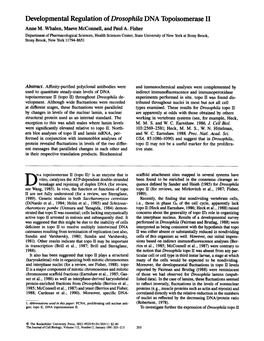 Developmental Regulation of Drosophila DNA Topoisomerase II Anne M