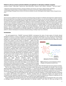 1 Abstract. Introduction