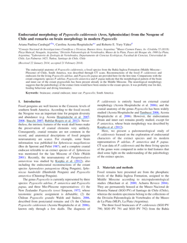 From the Neogene of Chile and Remarks on Brain Morphology in Modern Pygoscelis Ariana Paulina-Carabajala,B*, Carolina Acosta-Hospitalechea,C and Roberto E