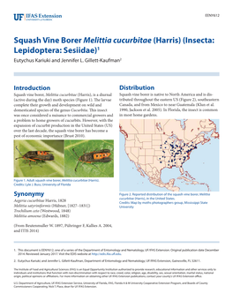 Squash Vine Borer Melittia Cucurbitae (Harris) (Insecta: Lepidoptera: Sesiidae)1 Eutychus Kariuki and Jennifer L