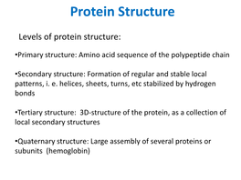 Protein Structure