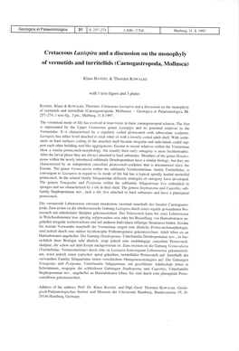 Of Vermetids and Turritellids (Caenogastropoda, Mollusca)