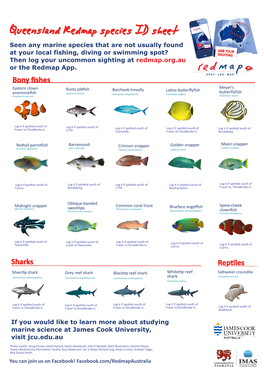 Redmap QLD Species ID Sheet