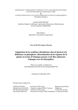 Adaptation De La Symbiose Rhizobienne Chez Le Haricot