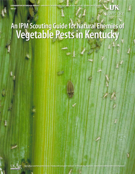 An IPM Scouting Guide for Natural Enemies of Vegetable Pests in Kentucky