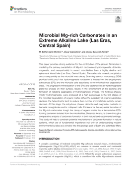 Microbial Mg-Rich Carbonates in an Extreme Alkaline Lake (Las Eras, Central Spain)