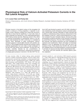 Physiological Role of Calcium-Activated Potassium Currents in the Rat Lateral Amygdala