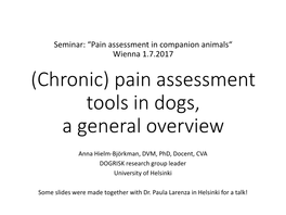 Pain Assessment Tools in Dogs, a General Overview