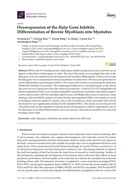 Overexpression of the Rybp Gene Inhibits Differentiation of Bovine Myoblasts Into Myotubes