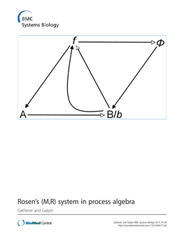 Rosen's (M,R) System in Process Algebra