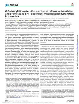 O-Glcnacylation Alters the Selection of Mrnas for Translation