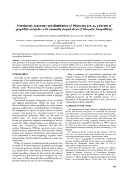 Morphology, Taxonomy and Distribution of Diphyonyx Gen