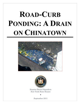 Road-Curb Ponding: a Drain on Chinatown