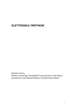 Elettronica Triptikon