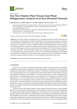 Two New Putative Plant Viruses from Wood Metagenomics Analysis of an Esca Diseased Vineyard