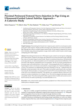 Proximal Perineural Femoral Nerve Injection in Pigs Using an Ultrasound-Guided Lateral Subiliac Approach— a Cadaveric Study