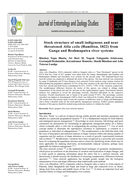 Stock Structure of Small Indigenous and Near Threatened Ailia Coila