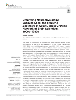 Jacques Loeb, the Stazione Zoologica Di Napoli, and a Growing Network of Brain Scientists, 1900S–1930S