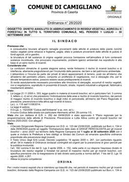 Ordinanza 28-2020(Divieto Assoluto Di Abbruciamento)