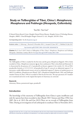 Study on Tullbergiidae of Tibet, China I. Metaphorura, Mesaphorura and Prabhergia (Hexapoda, Collembola)